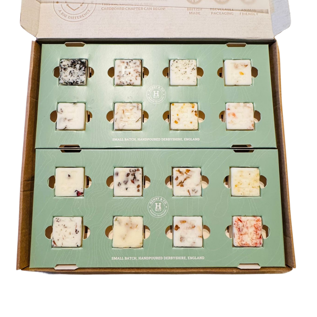 DISCOVERY BOX