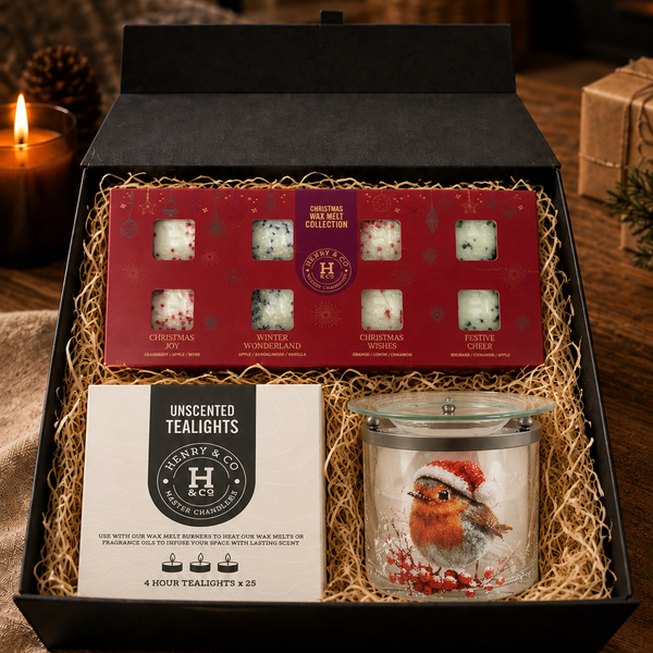 A Little Christmas Treat - Festive Robin