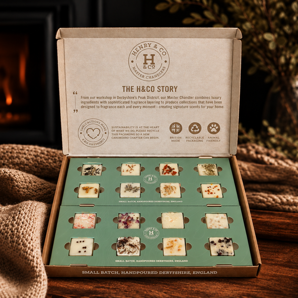 DISCOVERY BOX