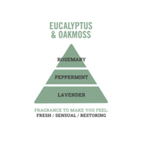 EUCALYPTUS & OAKMOSS REED DIFFUSER REFILL FRAGRANCE TRIANGLE