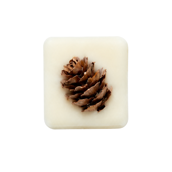 Forest Walk Wax Melt