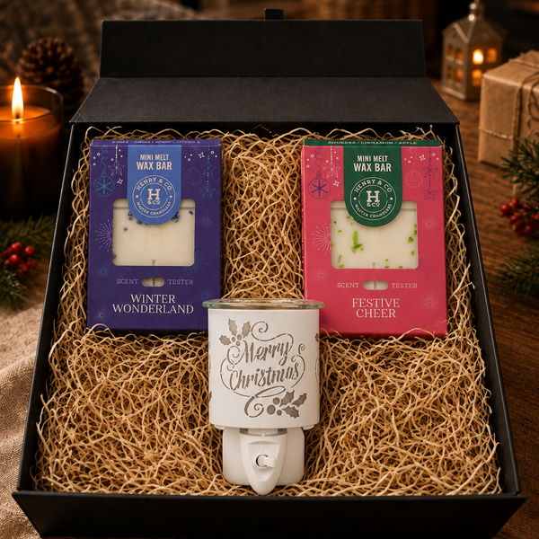 The Secret Santa - A Little Festive Surprise