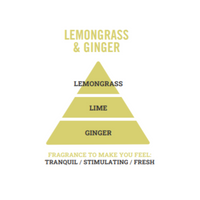 LEMONGRASS & GINGER REED DIFFUSER