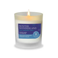WINTER WONDERLAND SCENTED CANDLE